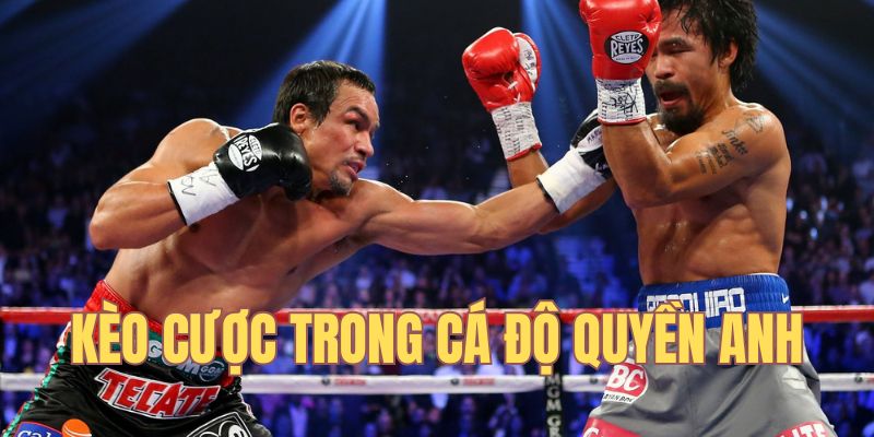 Các loại kèo trong cược quyền anh