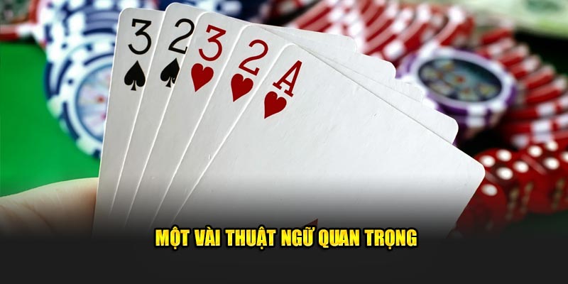 Một vài thuật ngữ cần nắm